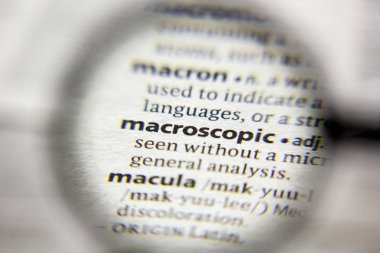 Sözlükteki makroskopik sözcük veya tümcecik.