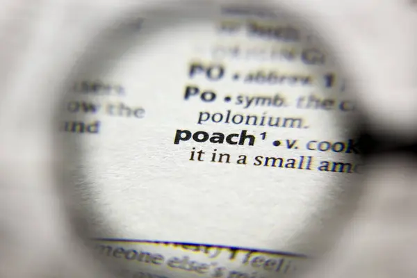 Ordet eller frasen Poach i en ordbok. — Stockfoto