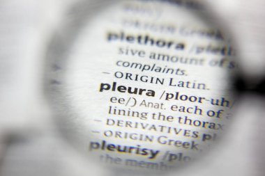 Sözlükteki plevra sözcüğü veya tümceciği.