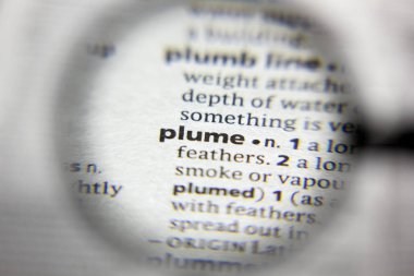 Sözlükteki kelime veya tümcecik Plume.