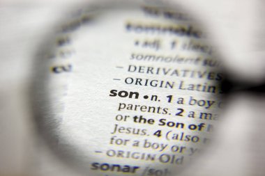 Sözlükteki Sözcük veya Sözcük Son.