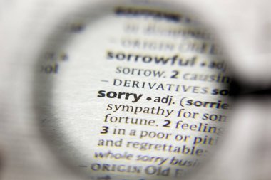 Sözlükte Özür sözcüğü veya tümceciği.