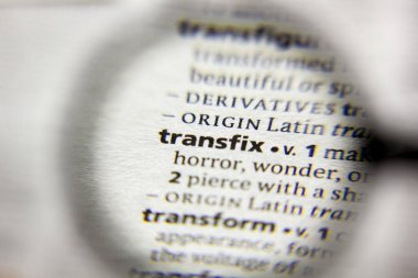 Sözlükteki transfix sözcüğü veya tümceciği.