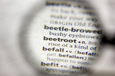 Sözlükte beetroot kelimesi veya deyimi.