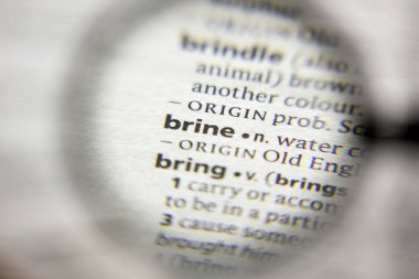 Sözlükteki brine sözcüğü veya tümceciği.
