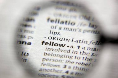 Sözlükteki Sözcük veya Tümceci Fellow.