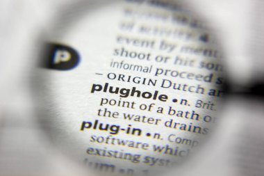 Sözlükteki sözcük veya tümcecik.