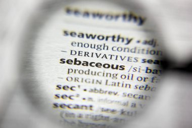 Sözlükte Sebaceous sözcüğü veya tümceciği.