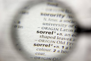 Sözlükteki Sözcük veya Deyim Sorrel.