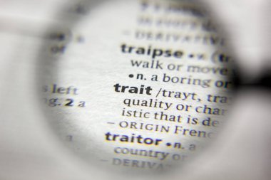 Sözlükteki özellik veya sözcük.