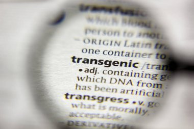 Sözlükteki transgenik sözcük veya tümcecik.