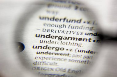 Sözlükteki iç çamaşırı sözcüğü veya tümceciği.