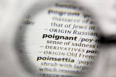 Sözlükteki dokunaklı sözcük veya deyim.