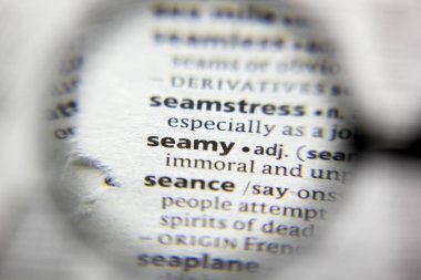 Sözlükteki sözcük veya deyim Seamy.