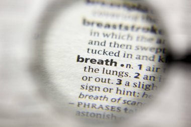 Sözlükteki nefes sözcüğü veya tümceciği.