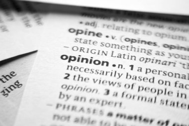 Sözlükte Görüş veya Sözcük.