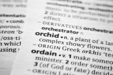 Sözlükte orkide sözcüğü veya deyimi.