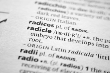 Sözlükte Kelime veya ifade Radicle.