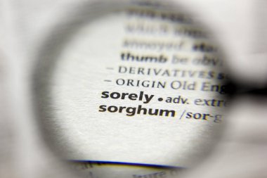 Sözlükteki sözcük veya deyim Sorely.