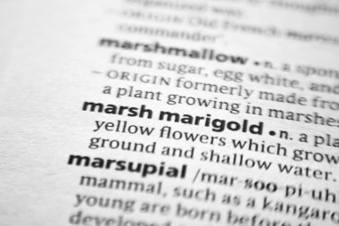 Sözlükte Kelime veya ifade Marsh kadife çiçeği.