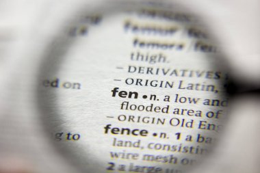 Sözlükteki fen sözcüğü veya tümceciği.