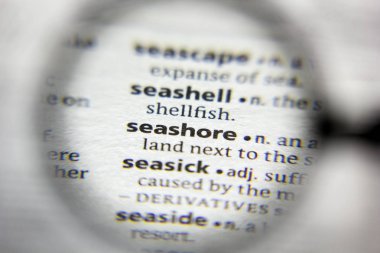 Sözlükte seashore sözcüğü veya deyimi.