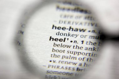 Sözlükteki topuk sözcüğü veya tümceciği.