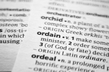 Sözlükte Ordain sözcüğü veya tümceciği.