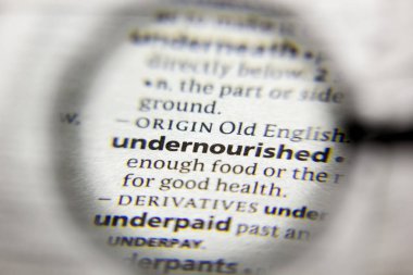 Sözlükte Yetersiz Beslenen sözcük veya tümcecik.