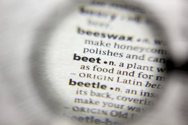 Sözlükte pancar sözcüğü veya tümceciği.