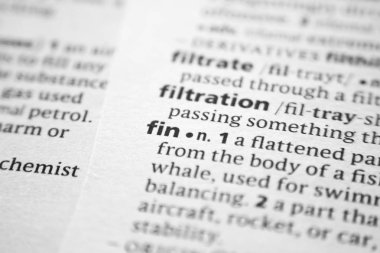 Sözlükteki sözcük veya tümcecik Fin.