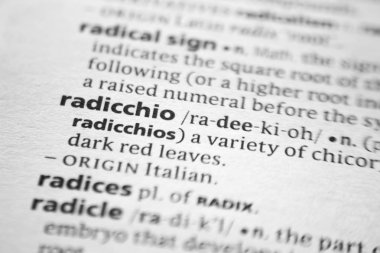 Sözlükte Sözcük veya tümcecik Radicchio.