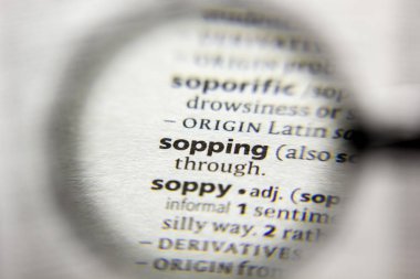 Sözlükteki Sopping sözcüğü veya tümceciği.