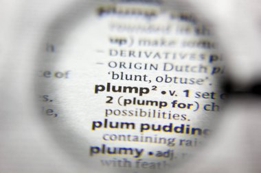 Sözlükteki dolgun sözcük veya tümcecik.