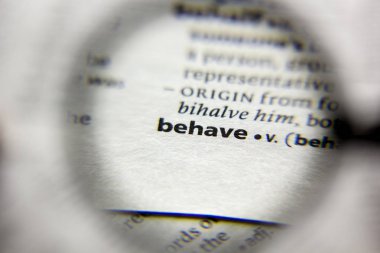 Sözlükte kullanılan sözcük veya tümcecik.