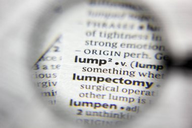 Sözlükteki Lump sözcüğü veya tümceciği.