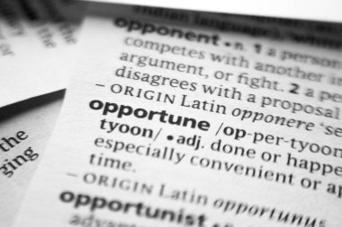 Sözlükte Sözcük veya tümcecik Fırsatçılık.
