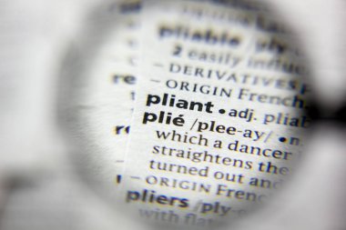 Sözlükteki Plie sözcüğü veya tümceciği.