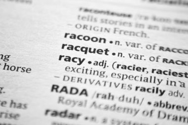 Sözlükte kelime veya ifade Raket.