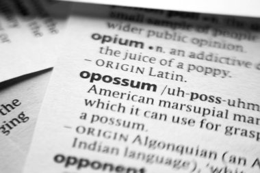 Sözlükte Opossum sözcüğü veya tümceciği.