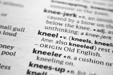 Sözlükte Diz çökme sözcüğü veya tümceci.