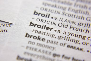 Sözlükteki kelime veya deyim Broiler.