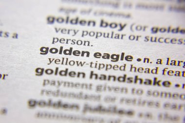 Sözlükte kelime veya ifade Altın kartal.