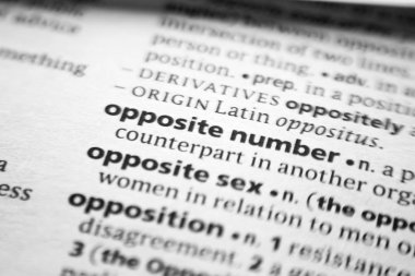 Sözlükteki Sözcük veya tümcecik Zıt sayı.