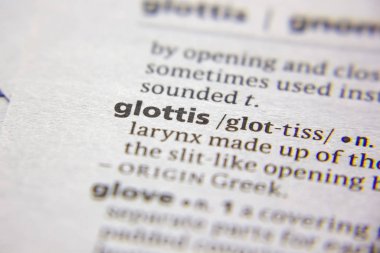 Sözlükteki sözcük veya ifade Glottis.