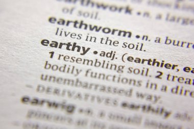 Sözlükte Word veya ifade Earthy.
