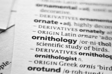 Sözlükte Kelime veya kelime Ornitoloji.