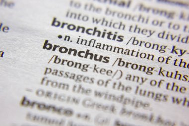 Sözlükte Bronchus sözcüğü veya deyimi.