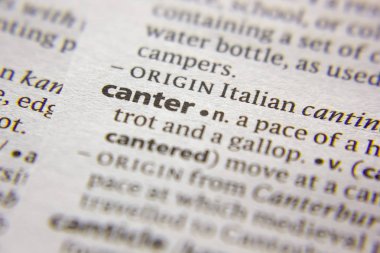 Sözlükte kelime veya ifade Canter.