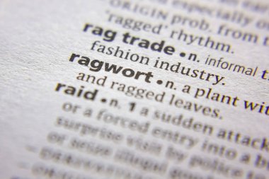 Sözlükte Kelime veya ifade Ragwort.